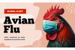 Avian Flu: A Global Concern and How Hardy Diagnostics' Viral Transport Medium Can Help