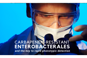 Carbapenem-Resistant Enterobacterales and the key to rapid phenotypic detection