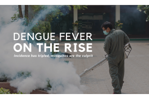 Dengue Fever Cases Surge in the Americas