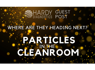 Where are they heading next? Particles in the cleanroom