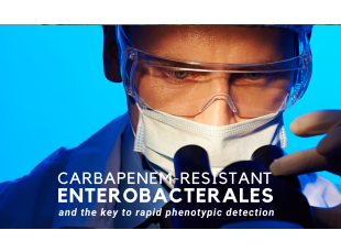 Carbapenem-Resistant Enterobacterales and the key to rapid phenotypic detection