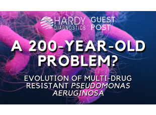 A 200 year old problem? Evolution of multi-drug resistant Pseudomonas aeruginosa