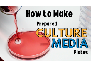 How to Make a Batch of Prepared Culture Media Petri Plates