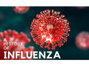 A History of Influenza