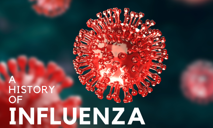 A History of Influenza