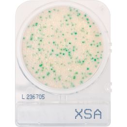 CompactDry™ S. aureus (X-SA)