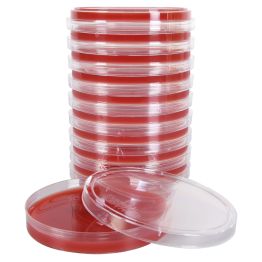 Blood Agar 5%, Enhanced Hemolysis (EH)