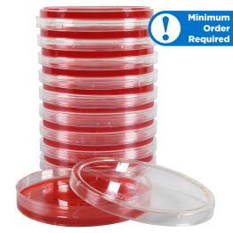 Campylobacter Blood Agar