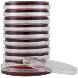 Campy FDA Agar (Brucella Agar w/7% Lysed Horse Blood & PVANT Antibiotics), for Campylobacter