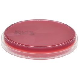 AnaeroGRO™ Brucella with Hemin and Vitamin K (BRU), Anaerobe Agar