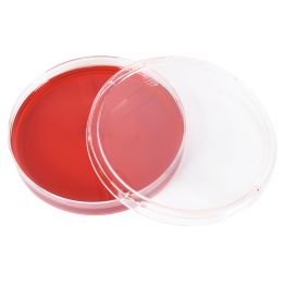 AnaeroGRO™ MultiPak B, Brucella w/H&K (Hemin and Vitamin K) plate, LVK (Laked Blood with Kanamycin and Vancomycin) plate, & PEA (Phenylethyl Alcohol Agar) plate, Prereduced Media