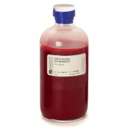 Blood, Sheep, Defibrinated, Screw Cap Bottle, 250ml