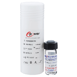 Epower&trade; Bacillus spizizenii derived from ATCC&reg; 6633&trade;