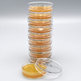 PPLO Selective Agar