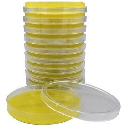 Bacillus cereus Selective Agar