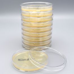 m Enterococcus Agar