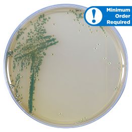 HardyCHROM™ Sakazakii, for Cronobacter sakazakii, Chromogenic Medium