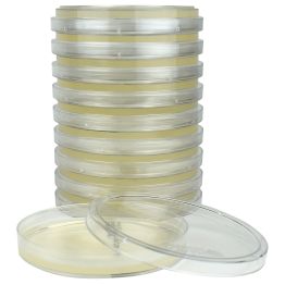 Sugar Free Agar