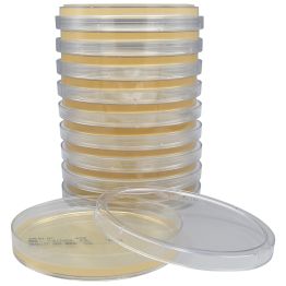 Tryptic Soy Agar (TSA), USP