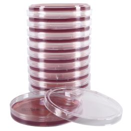 Violet Red Bile Agar