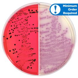 HardyCHROM™ Salmonella/XLT-4 (Xylose-Lysine-Tergitol 4) Agar, for stool cultures