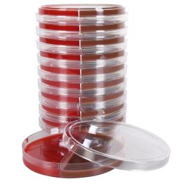 Blood Agar 5%/Chocolate Agar Biplate