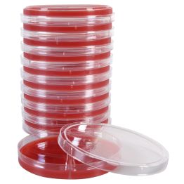 Blood Agar 5%/Blood Agar 5%