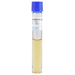 Brain Heart Infusion (BHI) Broth, 5mL 