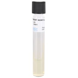 Nutrient Agar, Slant, 5.5ml