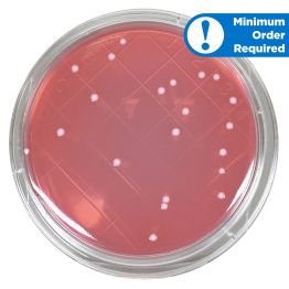 LokTight™ MacConkey Agar, USP, 15x65mm Contact Plate