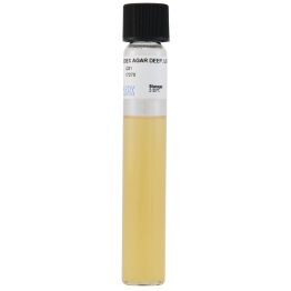 Sabouraud Dextrose Agar (SabDex), USP, Deep, Pour Tube, 18ml, 20x125mm Glass Tube