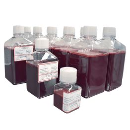 Blood, Sheep, Defibrinated, Serum Bottle, 500ml