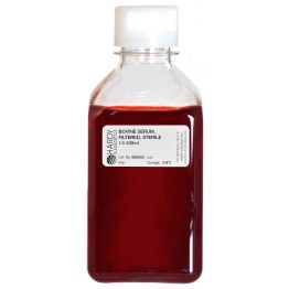 Blood, Bovine, Filtered, Sterile, Screw Cap Bottle, 500ml