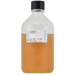 Tryptic Soy Agar (TSA), USP, 500ml, Glass Bottle