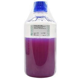 D/E (Dey-Engley) Neutralizing Broth, 750ml, Polycarbonate Bottle