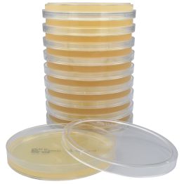 OGYE (Oxytetracycline-Glucose Yeast Extract) Agar