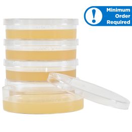 Sabouraud Dextrose Agar (SabDex)