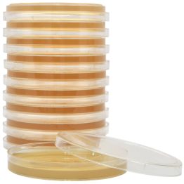 SterEM™ Tryptic Soy Agar (TSA), USP, Irradiated, Triple Bagged, 34ml Deep Fill