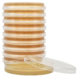 SterEM™ Tryptic Soy Agar (TSA), USP, Irradiated, Triple Bagged, 26ml