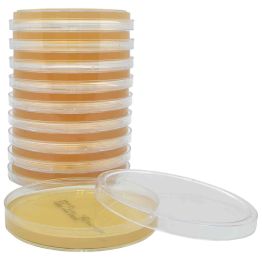 SterEM™ Sabouraud Dextrose Agar (SabDex) with Lecithin and Tween 80, USP, Irradiated, Triple Bagged