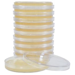 Tryptic Soy Agar Plate (TSA), USP