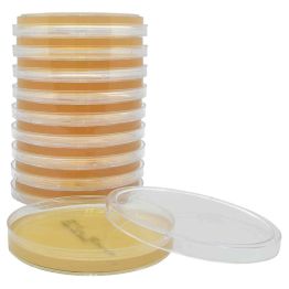 Sabouraud Dextrose Agar (SabDex) with Lecithin and Tween® 80