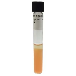 Strep B Carrot Broth&trade; One-Step, for Group B Streptococcus, 4ml