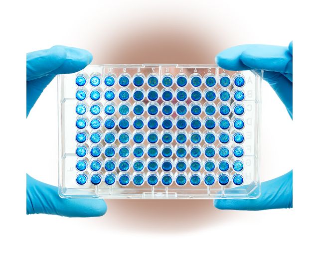 AlerTox® ELISA Milk