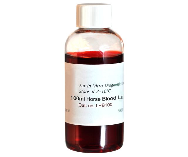 lhb100_1.jpg