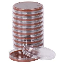 Chocolate Agar, (GC Agar Base with 1% Bovine Hemoglobin & Koenzyme Supplement)