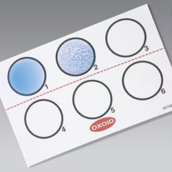 Legionella Latex Kit, Latex Agglutination Test for the Presumptive Identification of Predominant Legionella spp.