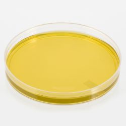 CGB Agar, for Cryptococcus gattii, (canavanine glycine bromothymol blue agar)