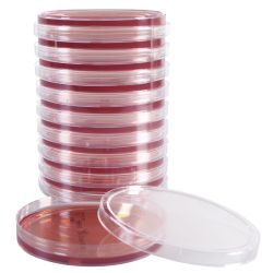 Cefsulodin-Irgasan-Novobiocin (CIN) Agar, for Yersinia