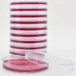 MacConkey Agar with Sorbitol (SMAC), for E. coli O157